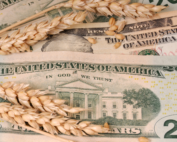 commodities on the rise